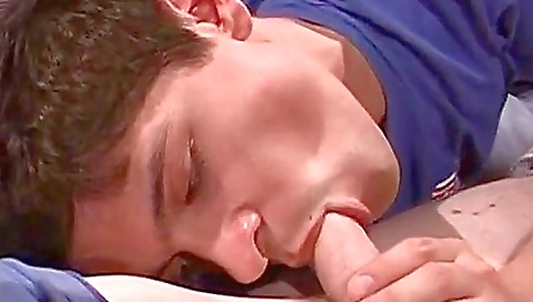 Myaour ears bambino & sexy