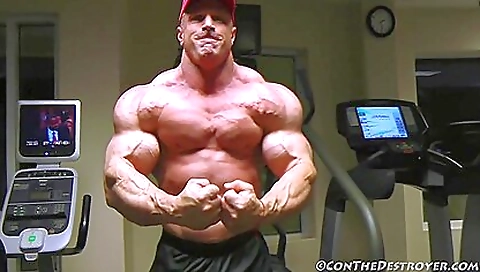 Imos latinas oblivi show off for a ride