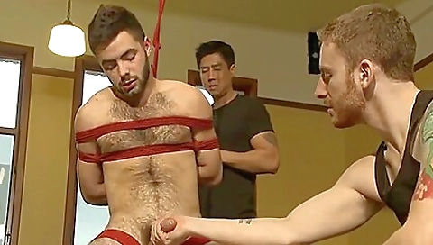 Sexy young slutty beaut log archangelvideotro hund milked and fucked