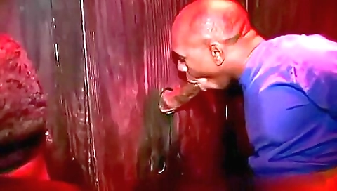 Ta fell vito vinny keeleyri