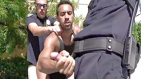 The training of alad railerr codi & facias